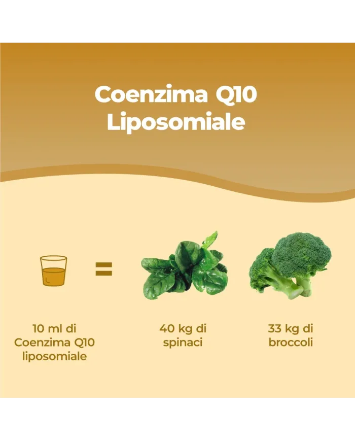 Coenzima Q10 Liposomiale Liquido - 250 ml